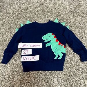 Little Sleepies T Rex Crewneck Sweatshirt